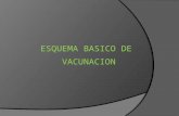 Vacunas esquema 444