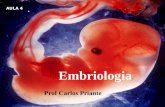 Embriologia geral