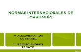 Normas internacionales de auditoria