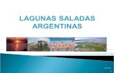 Lagunas saladas argentinas