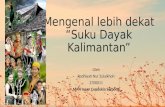 Suku Dayak, Kalimantan