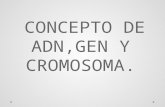 Cromosoma gen y adn