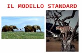 Presentazione modello standard ridotta