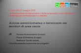 T. Ammendola, P. D’Andrea, S. Taralli - Azione amministrativa e benessere nei territori di area vasta