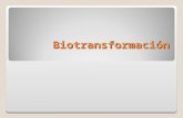 Biotransformación termin