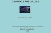 Campos Visuales