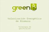 Valorización energética de biomasa por gasificación biomasa v8