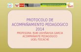Protocolo del acompañamiento pedagogico power point
