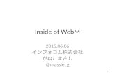Inside WebM