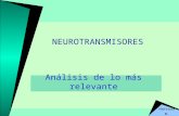 Neurotransmisores res