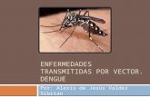 Dengue epidemio