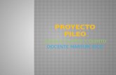 Proyecto pileo