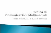 Comunicazioni Multmediali