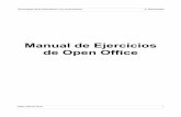 Manual Openoffice