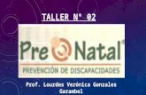 Taller prenatal nº02