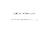 VM: Schulz - Griesbach