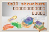 Cell structure suthi