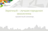 С.Е. Журавлев Проектный семинар-2013 (Экосистема)