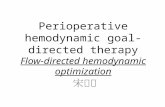 Hemodynamic goal directed therapy 20110926