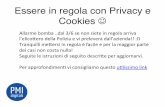Regolamentazione cookies e privacy 2015 Nuova Legge su Cookies -  wordpress