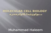 Lecture Biology/M.Haleem