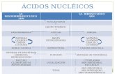 Acidos Nucleotidos