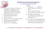 1 sistema inmunologico