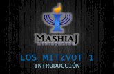 Mitzvot 1. Introducción