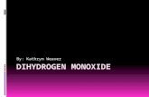 Dihydrogen monoxide ThinkAloud
