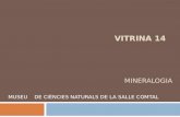 Vitrina 14 mineralogia