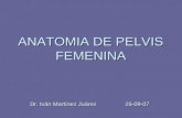 Anatomia De Pelvis Femenina1