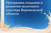 Презентация программы создания и развития молочного кластера Воронежской области