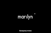 Отчеты в Marilyn