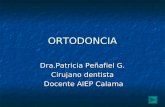 Ppt ortodoncia