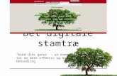 Stamtrae pitch