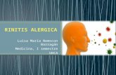 Rinitis alergica