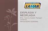 Displasia y neoplasia