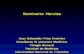 Hernias Seminario