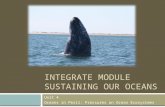 Unit 4 Powerpoint Gray Whales As Sentinels
