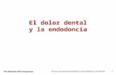 6 endodoncia