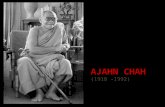 Ajahn chah (un gran maestro)