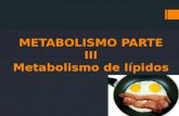 Metabolismo parte III