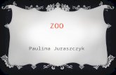 Paulina Juraszczyk