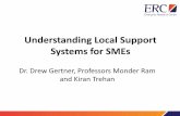 (Local) Support Systems for SMEs?- Drew Gertner presentation