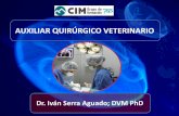 CIM Grupo de Formación - Curso Auxiliar Quirúrgico Veterinario