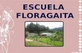 Microdiseño Floragaita