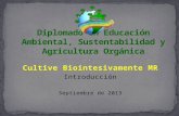 Diplomado en educación ambiental, sustentabilidad y agricultura