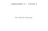Laboratorio 1 - Damon Quinsac