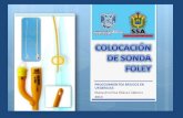 APLICACION DE SONDA FOLEY