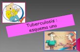 Tuberculosis esquema 1